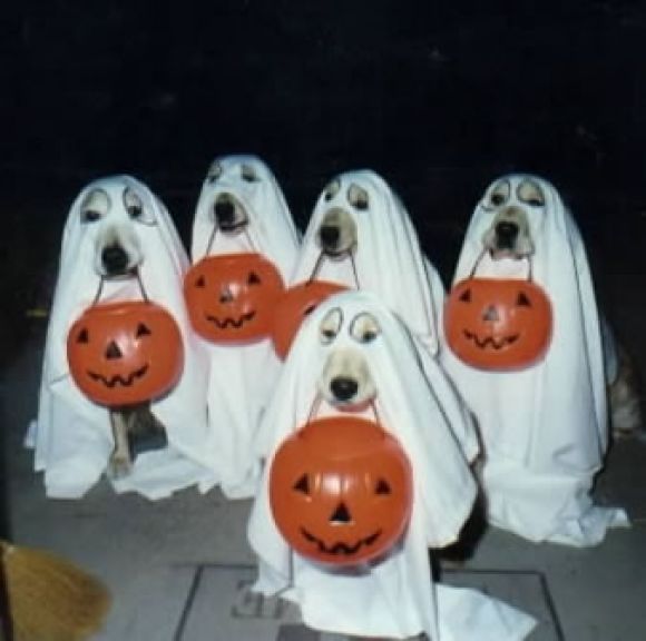 halloween.jpg