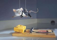 souris.jpg