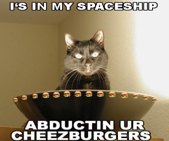 abducting-cheezburgers.jpg