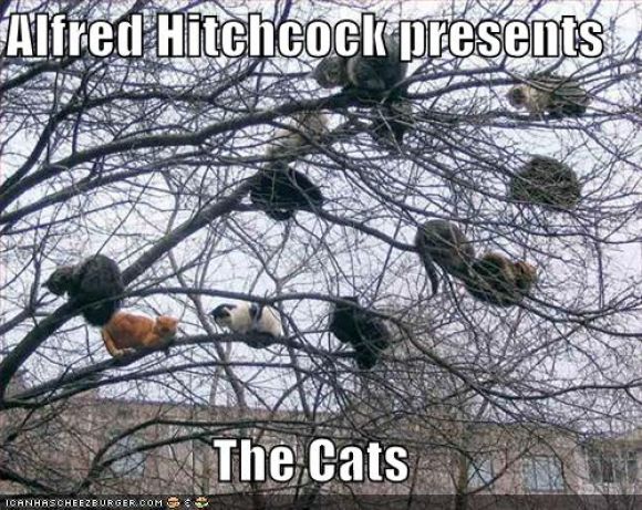 alfredhitchcock128420587321490000.jpg
