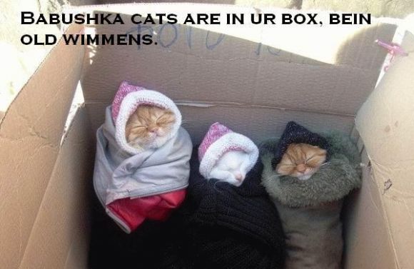 babushkakitty.jpg