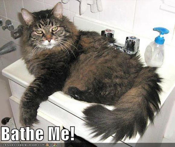 bathe-me.jpg