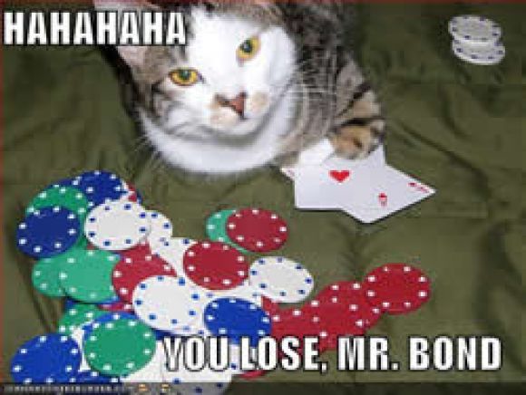 casino-cats.jpg