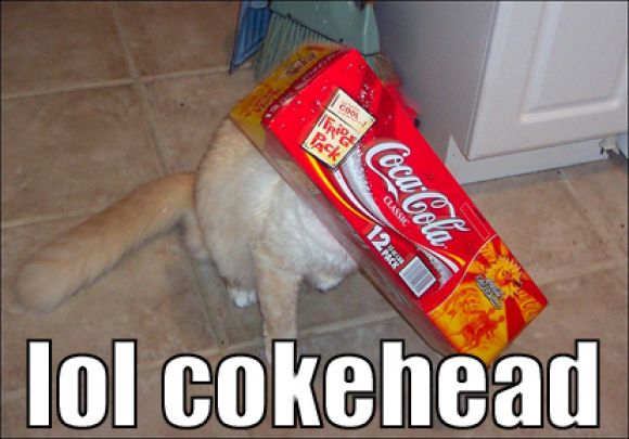 cokehead.jpg