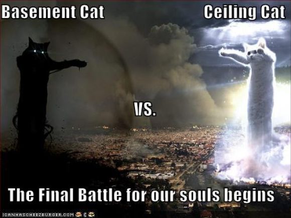 funny-pictures-basement-cat-vs-ceiling-cat.jpg