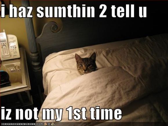 funny-pictures-cat-bed-not-first-time.jpg