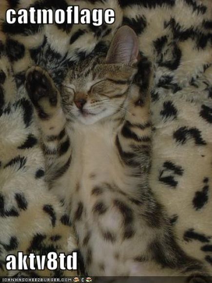 funny-pictures-cat-camoflauged-fur-blanket.jpg