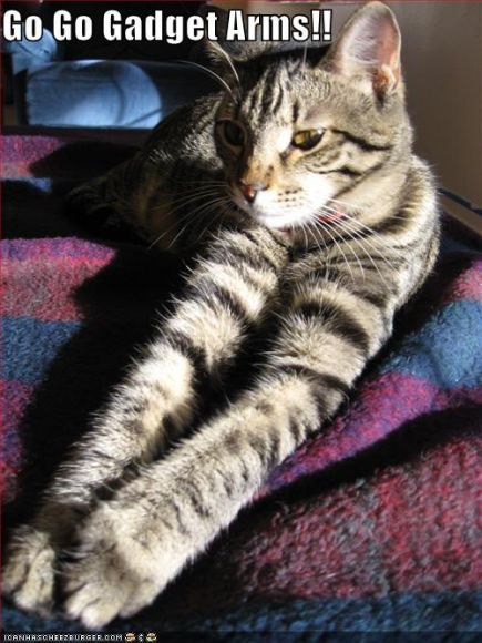 funny-pictures-cat-gadget-arms.jpg