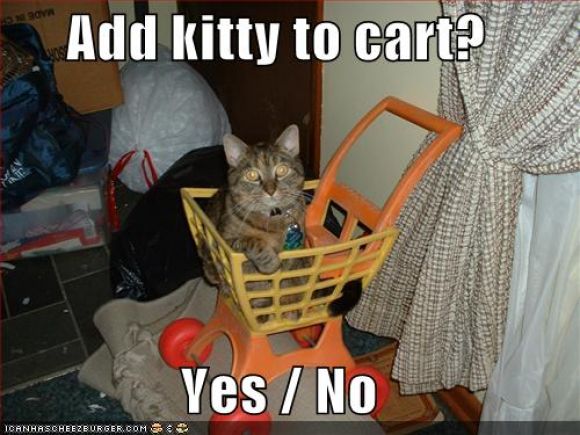 funny-pictures-cat-shopping-cart.jpg