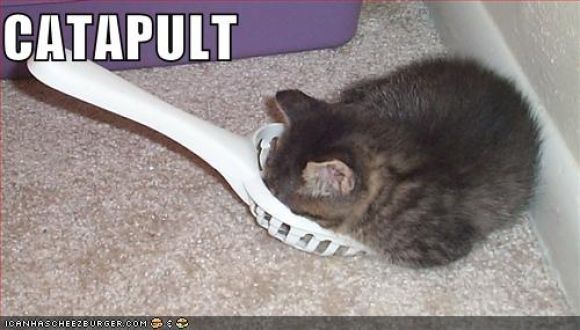 funny-pictures-catapult.jpg