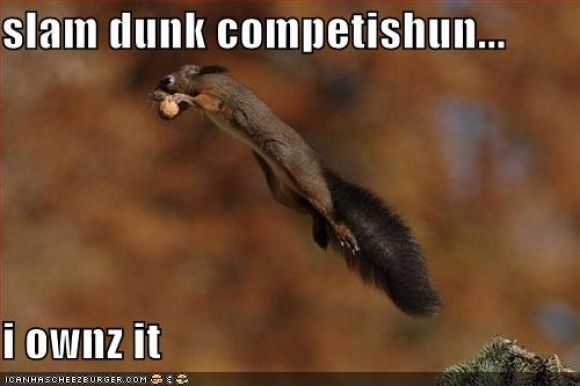 funny-pictures-slam-dunk-squirrel.jpg