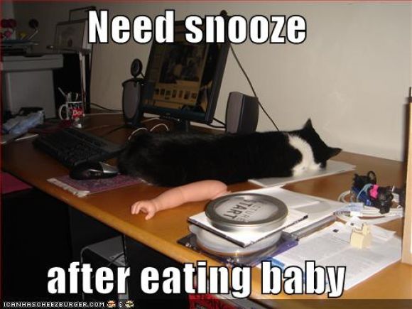 funny-pictures-snooze-eat-baby.jpg