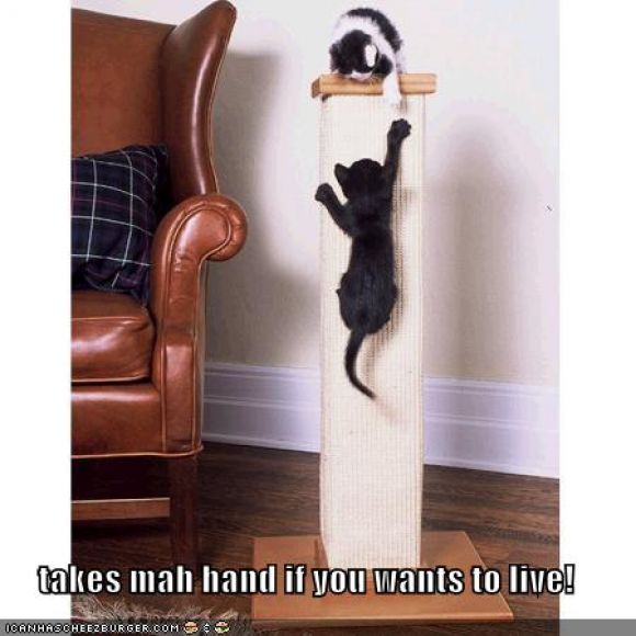 funny-pictures-take-my-hand.jpg