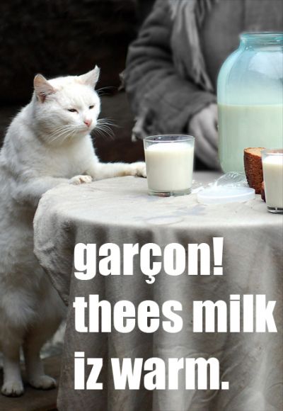 garcon-mike.jpg