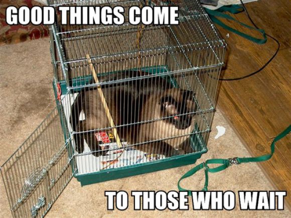 good-things-come-to-those-who-wait_r.jpg