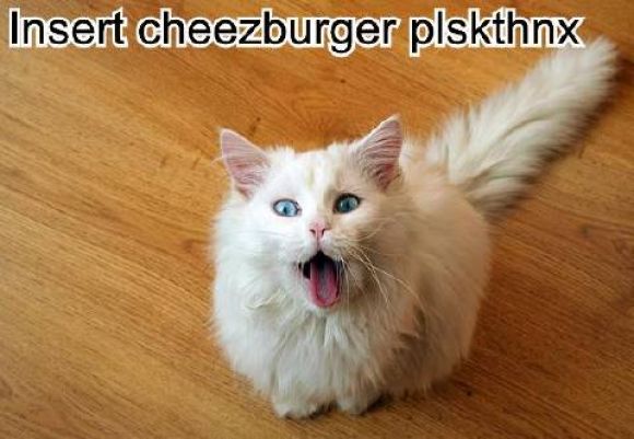 insert-cheezburger-plskthnx.jpg