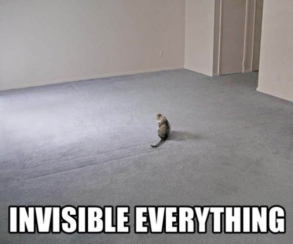 invisible-everything.jpg
