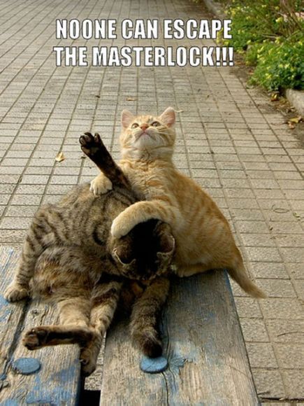 masterlock.jpg