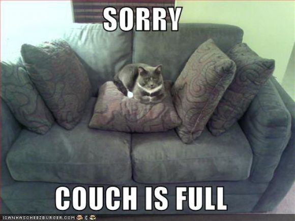 sorrycouchis128391026322343750.jpg