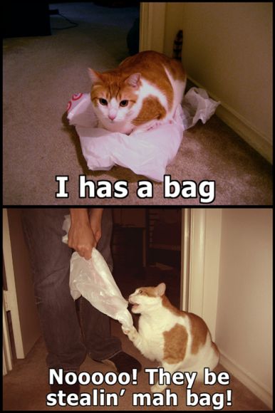 stealing_my_bag.jpg