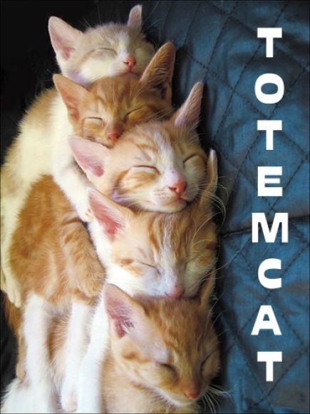 totemcat-miles.jpg
