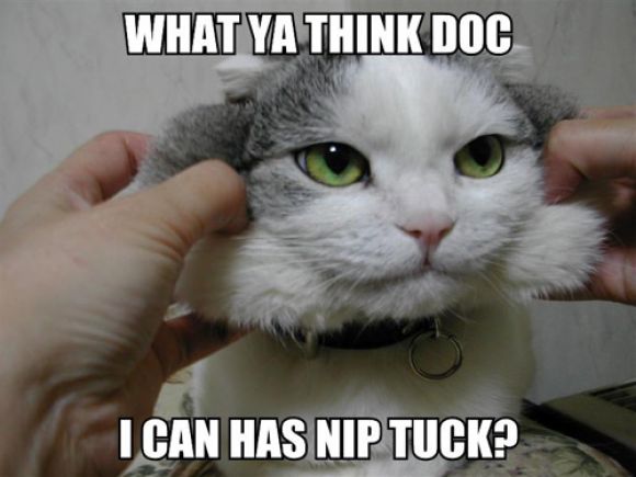 what-ya-think-doc-i-can-has.jpg