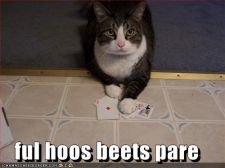 128296334689845000fulhoosbeets.jpg