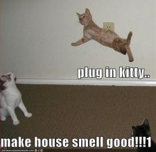 128298051631095000pluginkitty.jpg