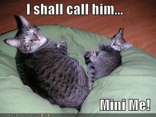 128341198323593750Ishallcallhim.jpg
