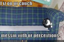 128341878710000000iizonurcouch.jpg
