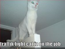128343407048906250traffiklight.jpg