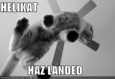 128347692415468750helikathazlan.jpg