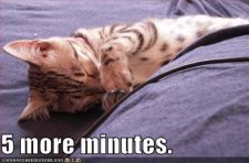 1283479390859375005moreminutes.jpg