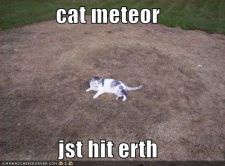 128347961160156250catmeteorjst.jpg