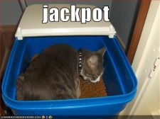 128368039697812500jackpot.jpg