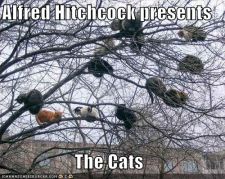 alfredhitchcock128420587321490000.jpg