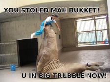 bukket-02.jpg