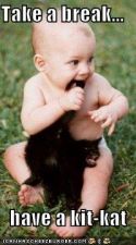 funny-pictures-baby-eats-black-cat-tail.jpg