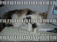 funny-pictures-cat-sleeping-f10-keyboard.jpg