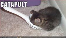 funny-pictures-catapult.jpg