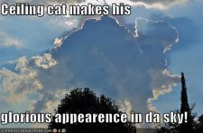 funny-pictures-ceiling-cat-cloud.jpg