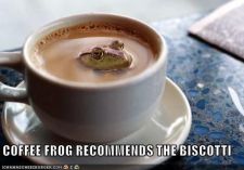 funny-pictures-coffee-frog-biscotti3.jpg