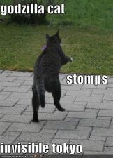 funny-pictures-godzilla-cat-invisible-tokyo.jpg