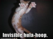 funny-pictures-invisible-hula-hoop-cat.jpg