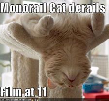 funny-pictures-monorail-cat-derails.jpg