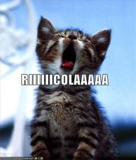 funny-pictures-ricola-cat.jpg