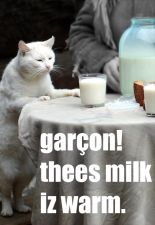 garcon-mike.jpg