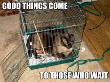good-things-come-to-those-who-wait_r.jpg