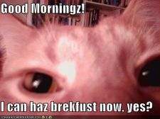 goodmorningz128397091730468750.jpg