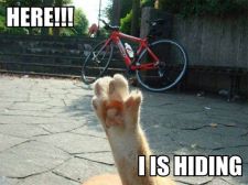 here-i-is-hiding.jpg